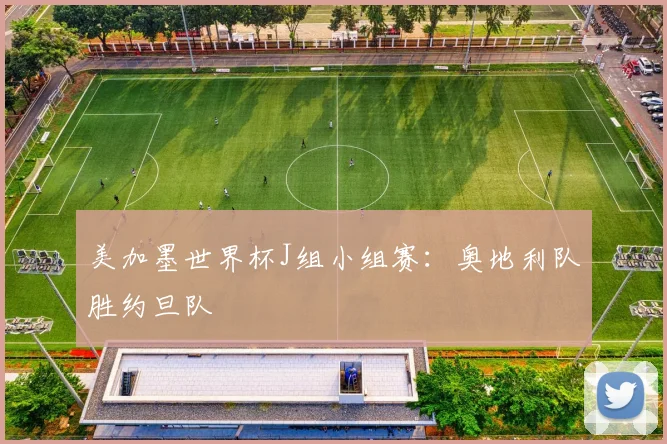 美加墨世界杯J组小组赛：奥地利队胜约旦队